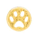 Dog_1_pcs_Gold_Plated_earring_LULU1632_099.webp
