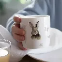nijn 5.webp