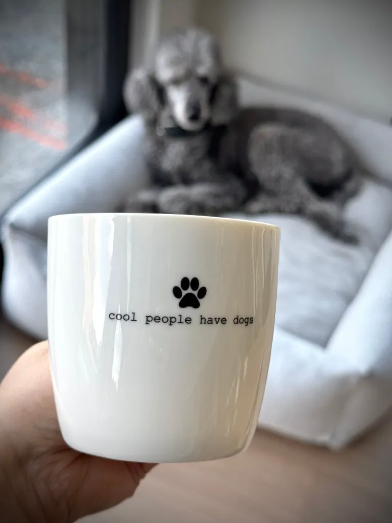 dogs2.webp