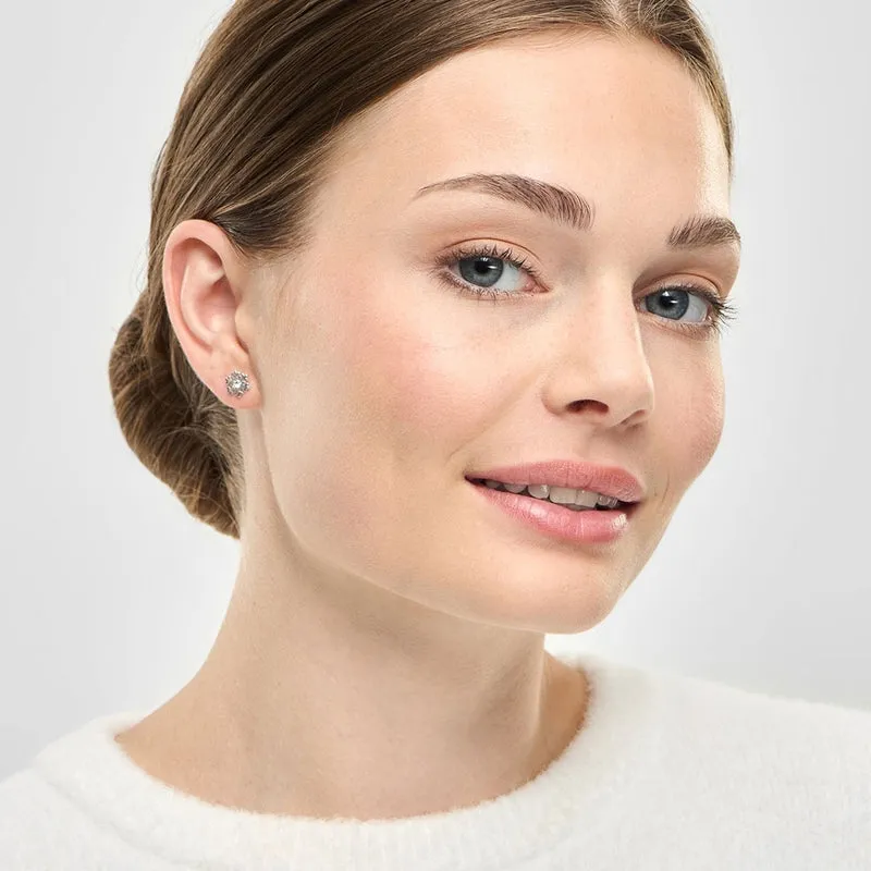 flake silver3.webp