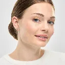 flake silver3.webp