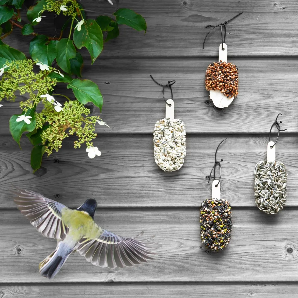 dfbirds_scb07_sq.webp
