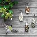 dfbirds_scb07_sq.webp