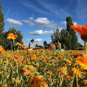 UJ36A30YU2B2.webp
