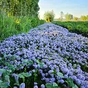 E48EILZBTC3F.webp