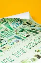 NL_100VERSCHILLEN_GROEN_POSTER2_1080x.webp