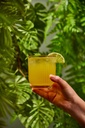 Mocktail Passion Lime