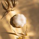 Wondr conditioner bar