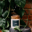 Geurkaars Musk & patchouli- Rain Forest