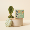 Wondr Refreshing Cactus shampoo bar - voor vet en futloos haar 