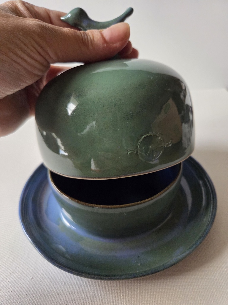 W59 groen/ blauwe botervloot vogel