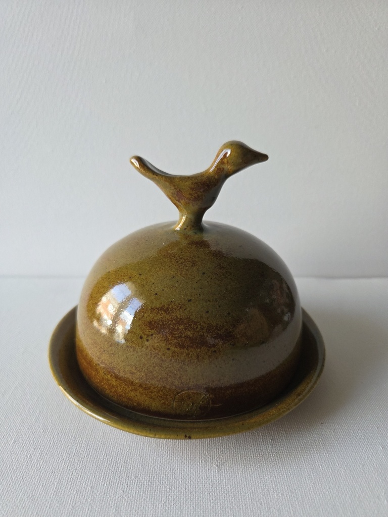 W56 Olijfgroene botervloot vogel