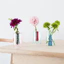 Block-Design-small-reversible-glass-vase-dahlia_fc2a4ec8-44bc-41e0-b33b-204f14937702.webp