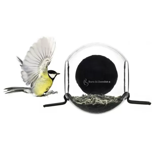 7340030-birdfeeder.jpg.webp