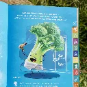 36.webp