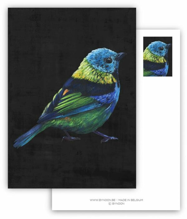 Blue bird #1