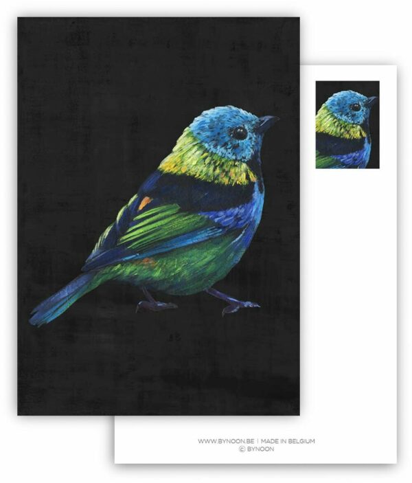 Wenskaart Blue bird #1