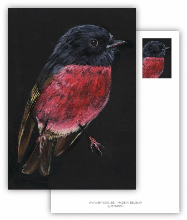 Wenskaart Robin