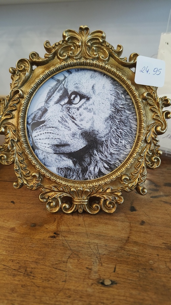 Ingelijste artprint Leeuw