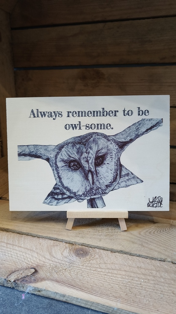 Houten wenskaart (uil), incl houder