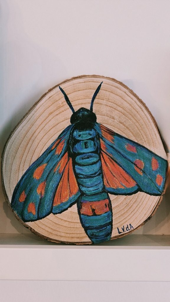 Boomstamschijf met vlinder (blauw-rood)