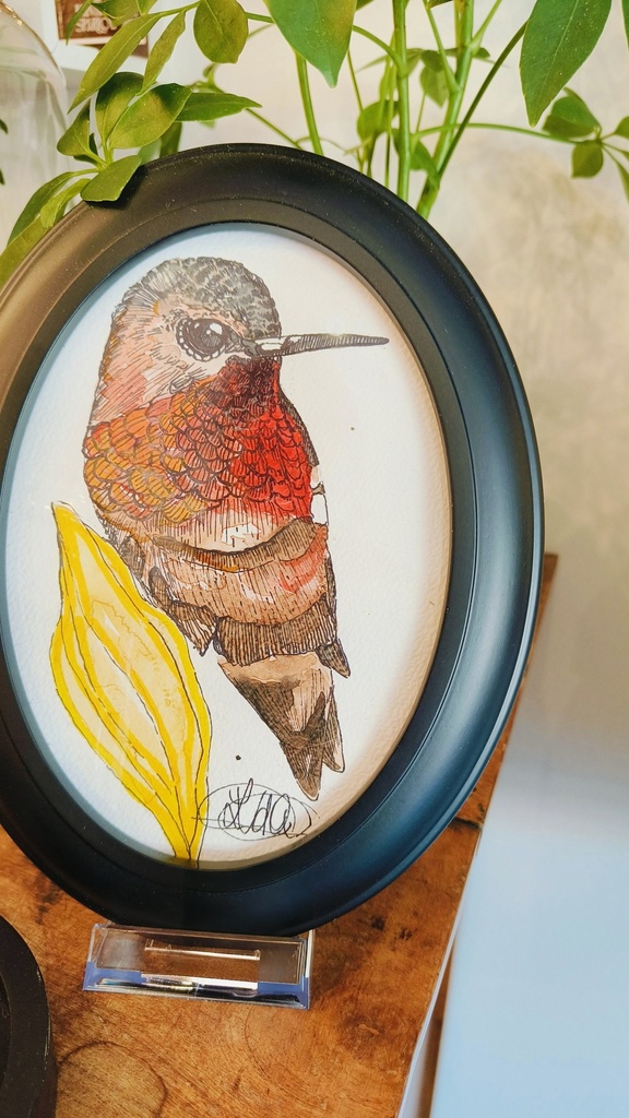 Kadertje met aquareltekening vogeltje