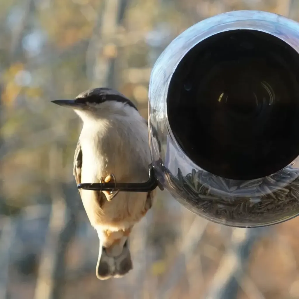 Birdfeeder - vogelvoederhuisje