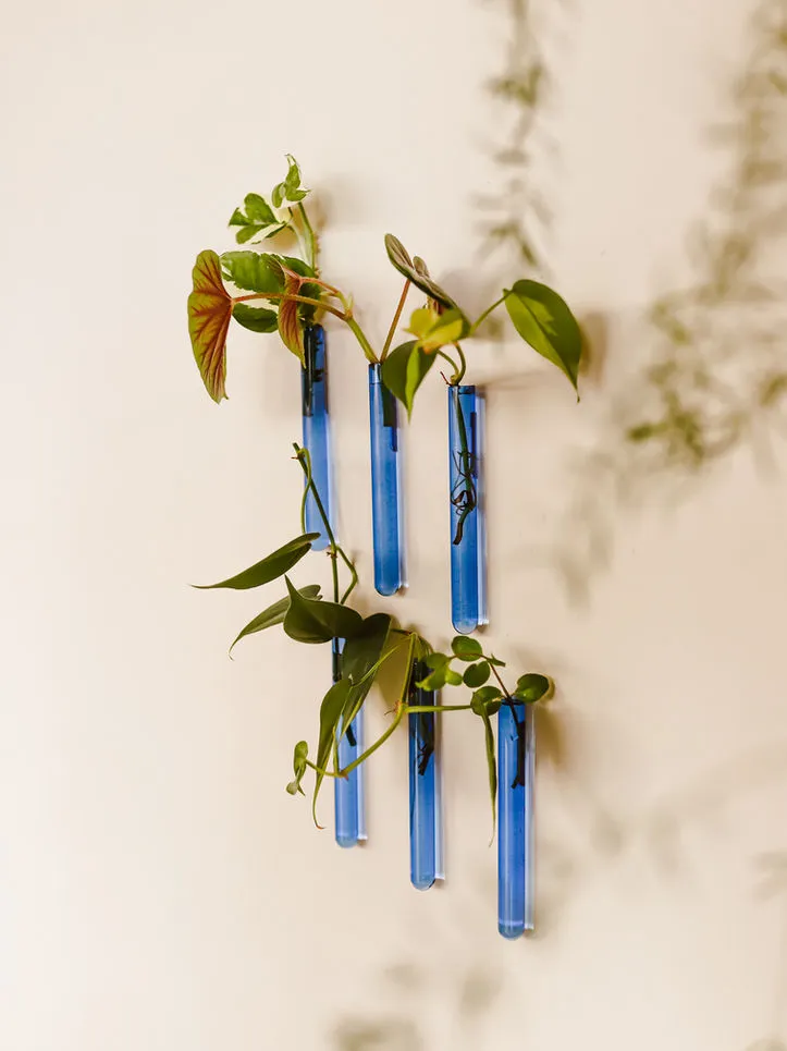 Muurbloempjes 3-pack (light blue)
