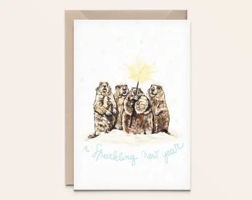 Wenskaart Kerst - Winter Marmotten