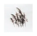 Servetten Autumn Straw