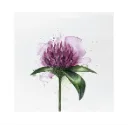 Servetten Clover Flower