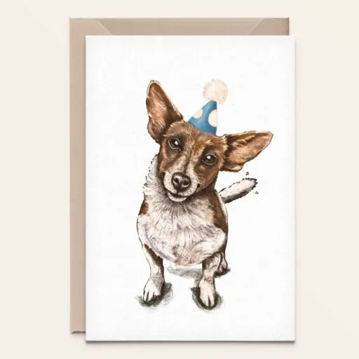 Jack Russel