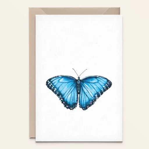 Blauwe Morpho