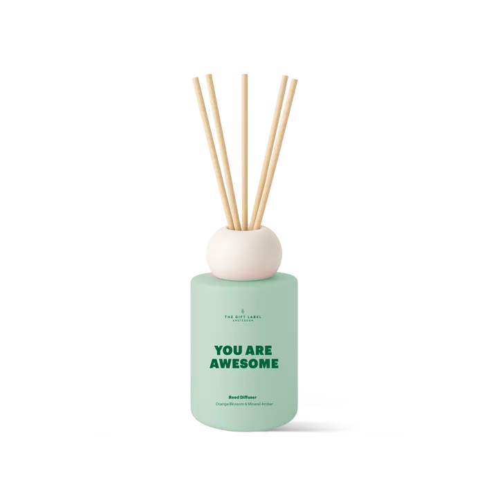Frosted Reed Diffuser 100ml - You Are Awesome