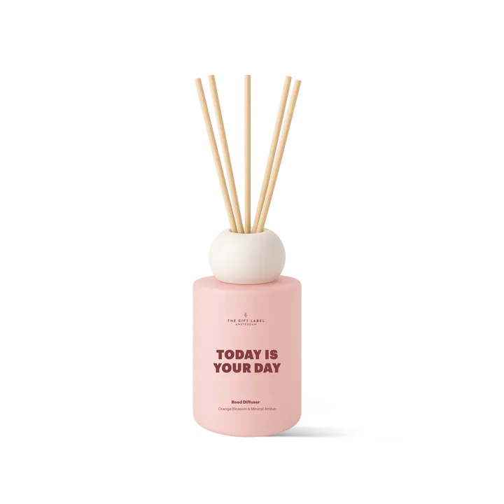 Frosted Reed Diffuser 100ml - Today Is Your Da