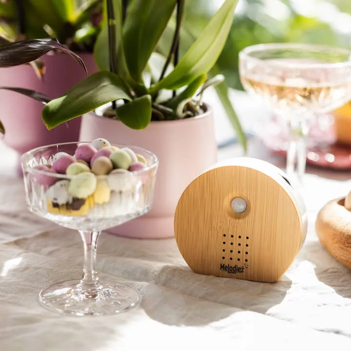 Bird Sound Box - licht hout
