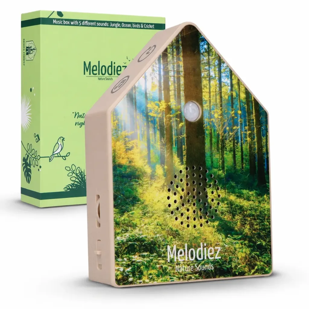 Deluxe Sound Box – Forest Light