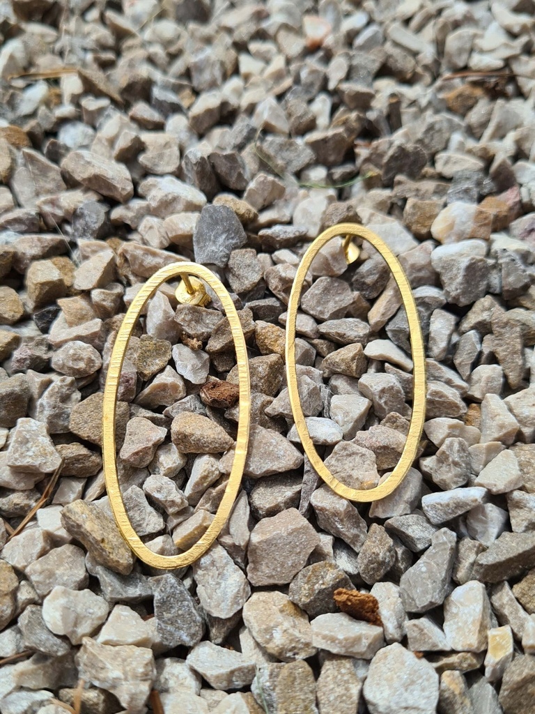 Oorbellen Grote ovalen Hoops