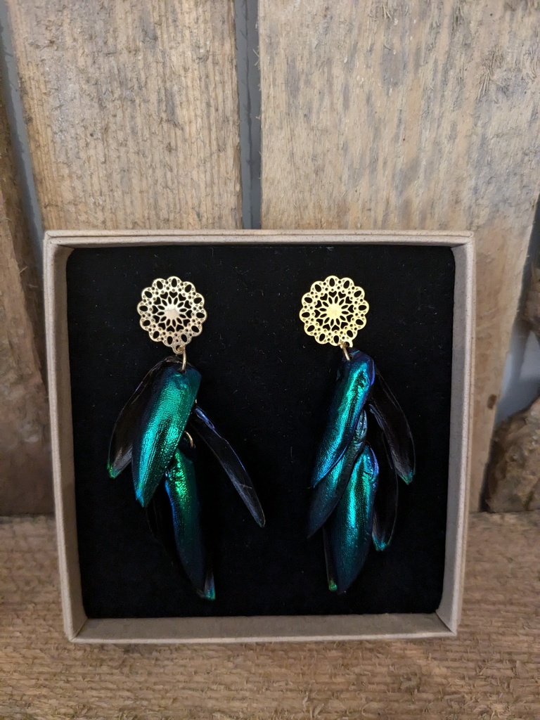 Oorhangers kever 37