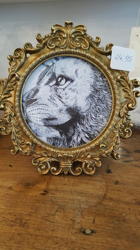 Ingelijste artprint Leeuw