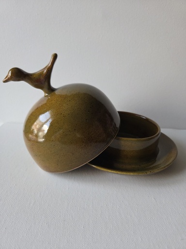 Olijfgroene botervloot vogel