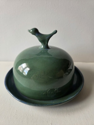 Groen/ blauwe botervloot vogel