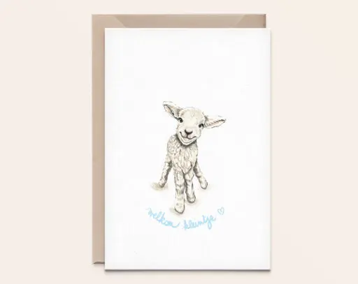 Wenskaart Schaapje - geboorte