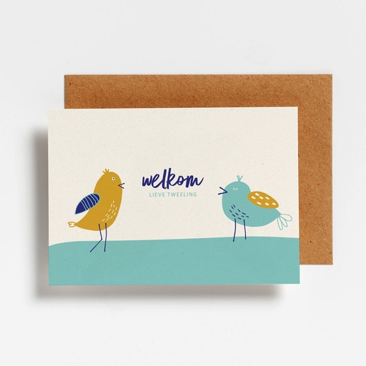 Welkom lieve tweeling