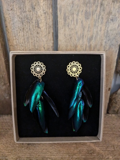 Oorhangers kever 37