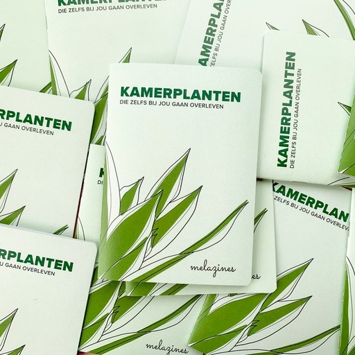Melazine Kamerplanten