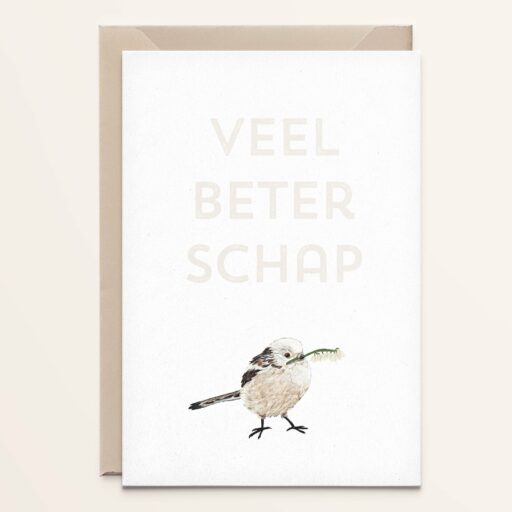 Wenskaart  Staartmees - beterschap